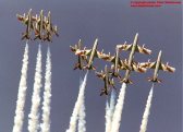 iat017.jpg