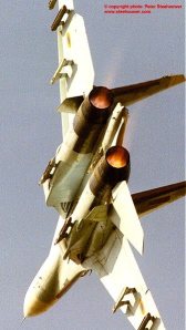 iat083.jpg