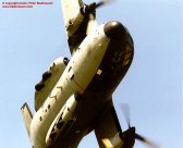 iat112.jpg