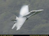 mollis06_215.jpg