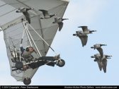 jhma10_093.jpg