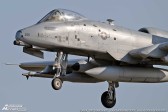 jagel_ad23_059.jpg