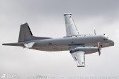 riat2025_091.jpg