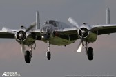 STE_1625-copy.jpg