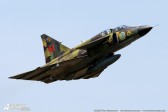 STE_3324-copy.jpg
