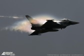 STE_1659-copy.jpg