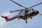 STE_1763-copy.jpg