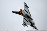 STE_2012-copy.jpg